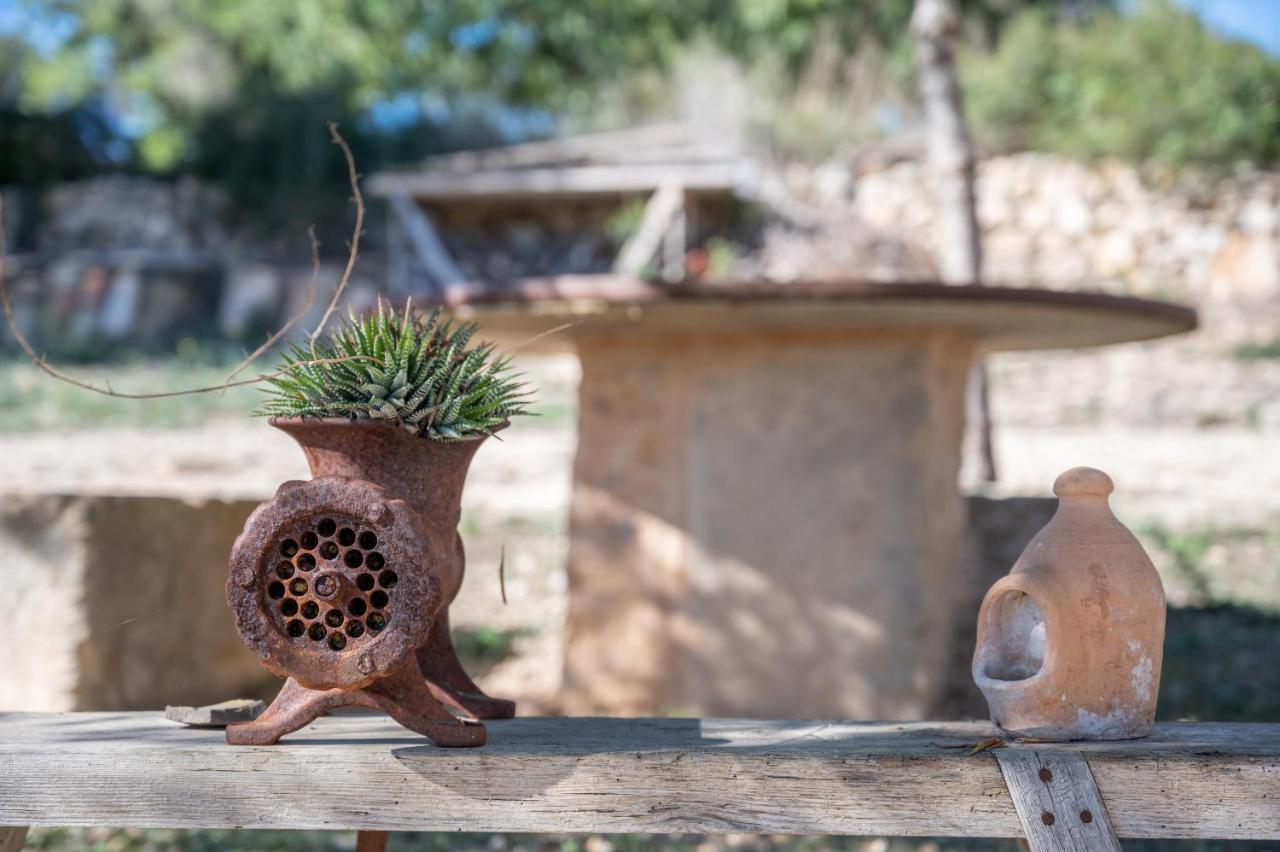Son Pusseta Βίλα Petra  Εξωτερικό φωτογραφία